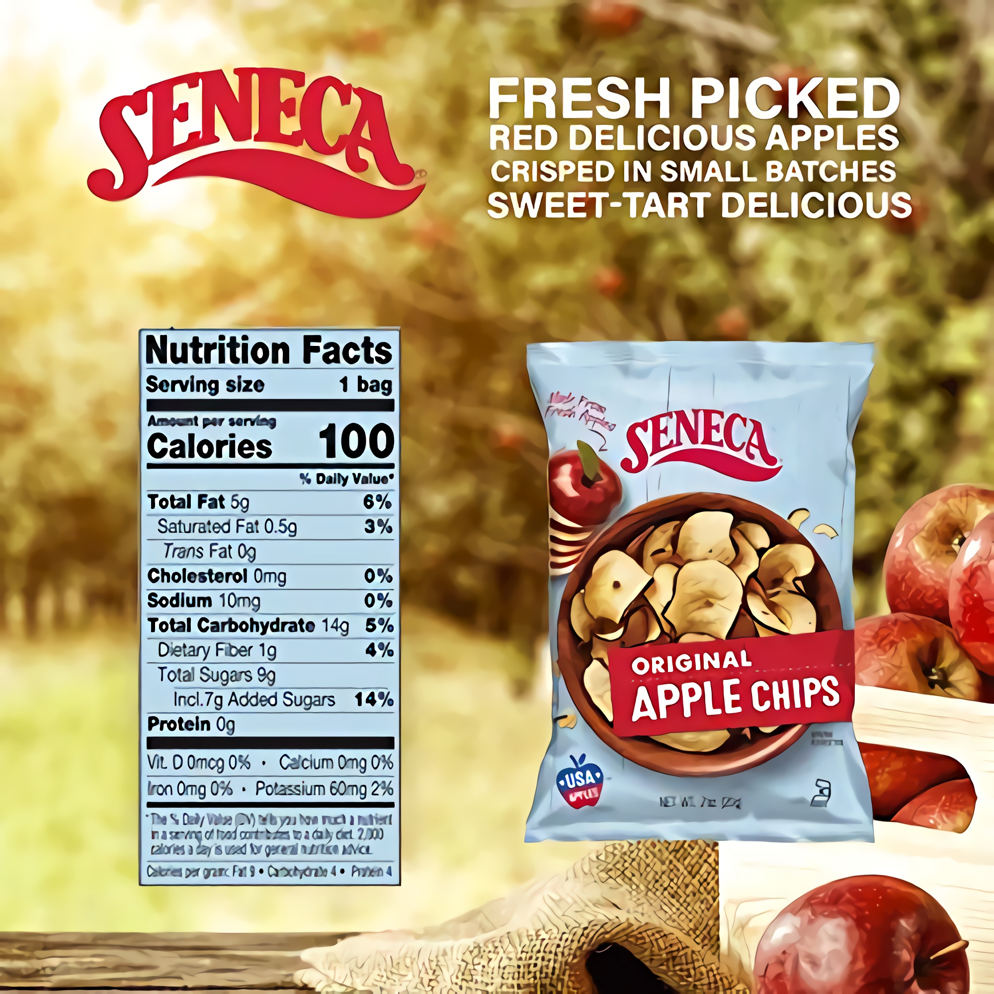 Seneca Original Apple Chips | Made from Fresh 100% Red Delicious Apples | Yakima Valley Orchards | 24 Ct 5