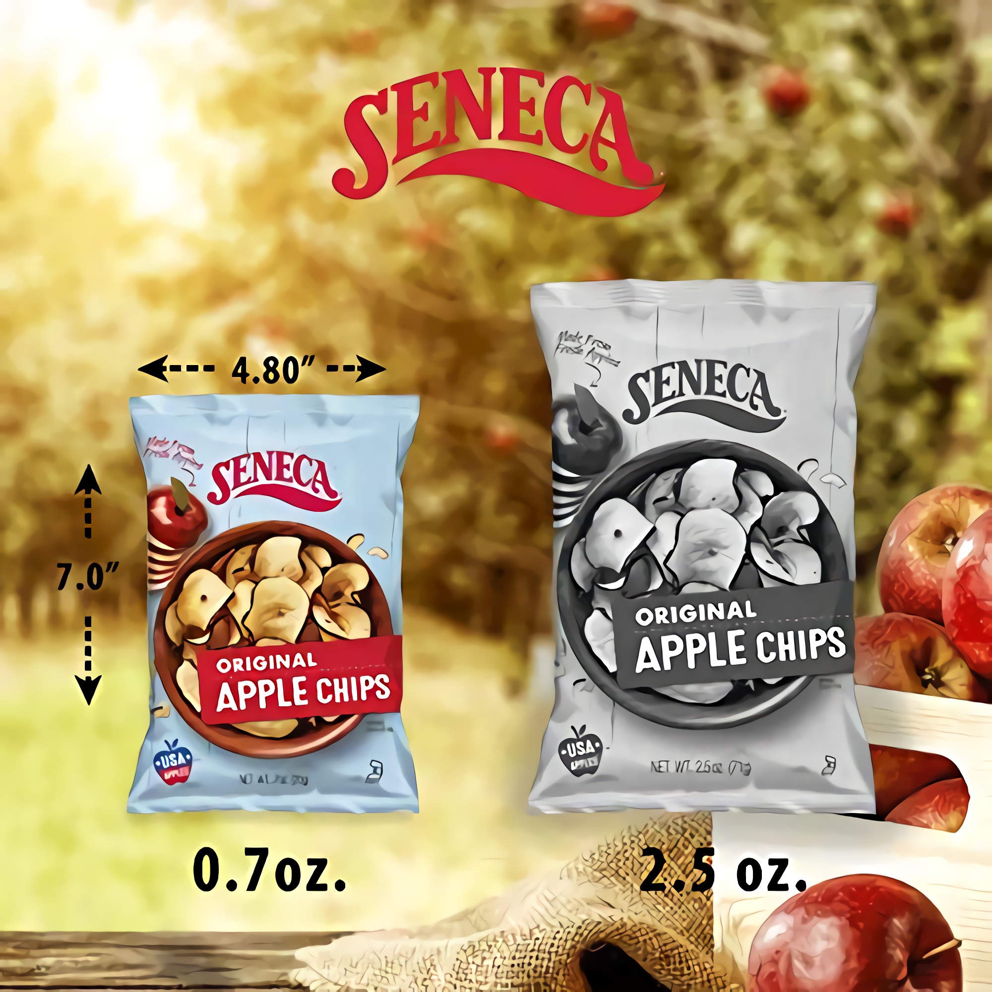 Seneca Original Apple Chips | Made from Fresh 100% Red Delicious Apples | Yakima Valley Orchards | 24 Ct 6
