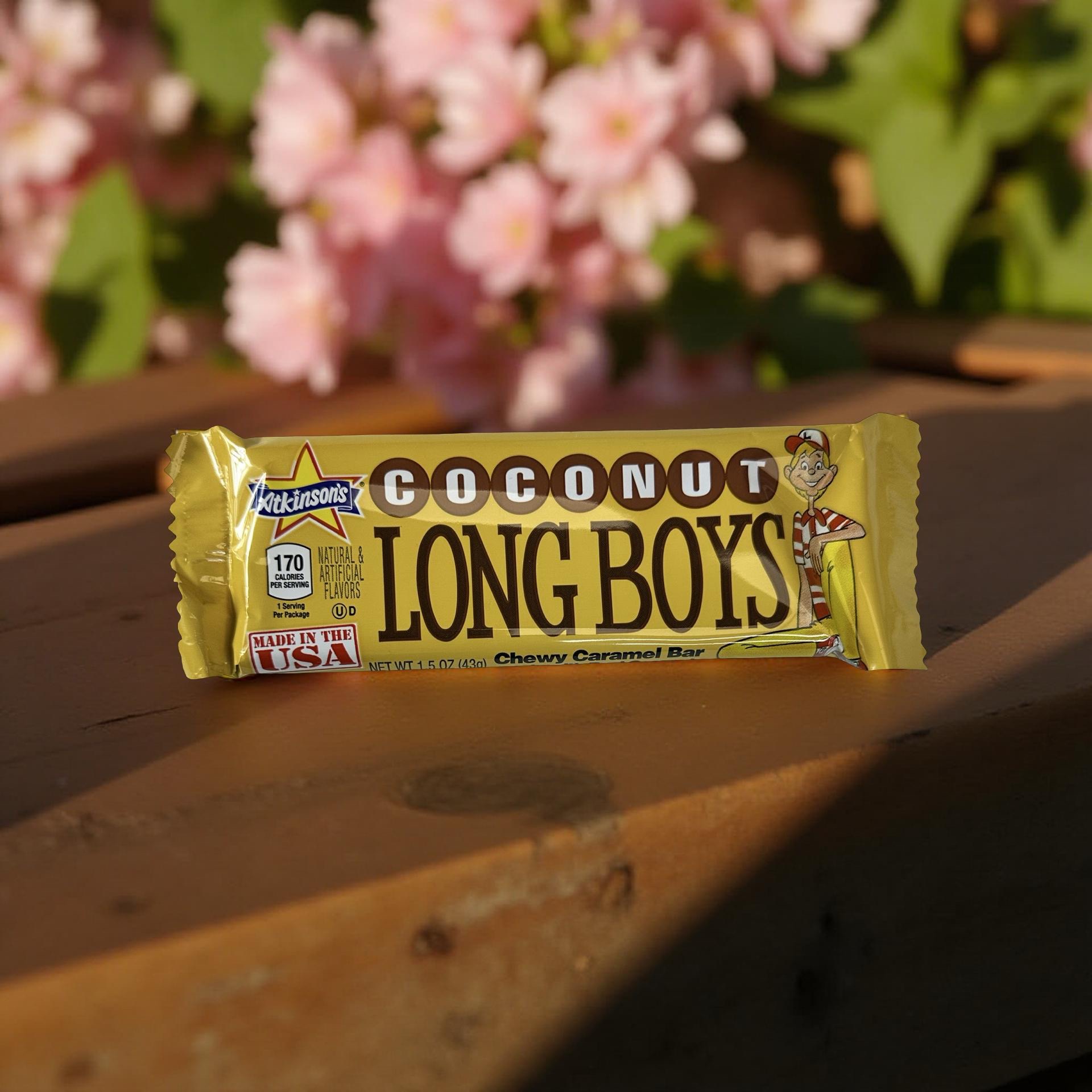 Coconut Long Boys Nostalgic New Orleans Chewy Candy Full Size Candy Bars, 4 Total 6