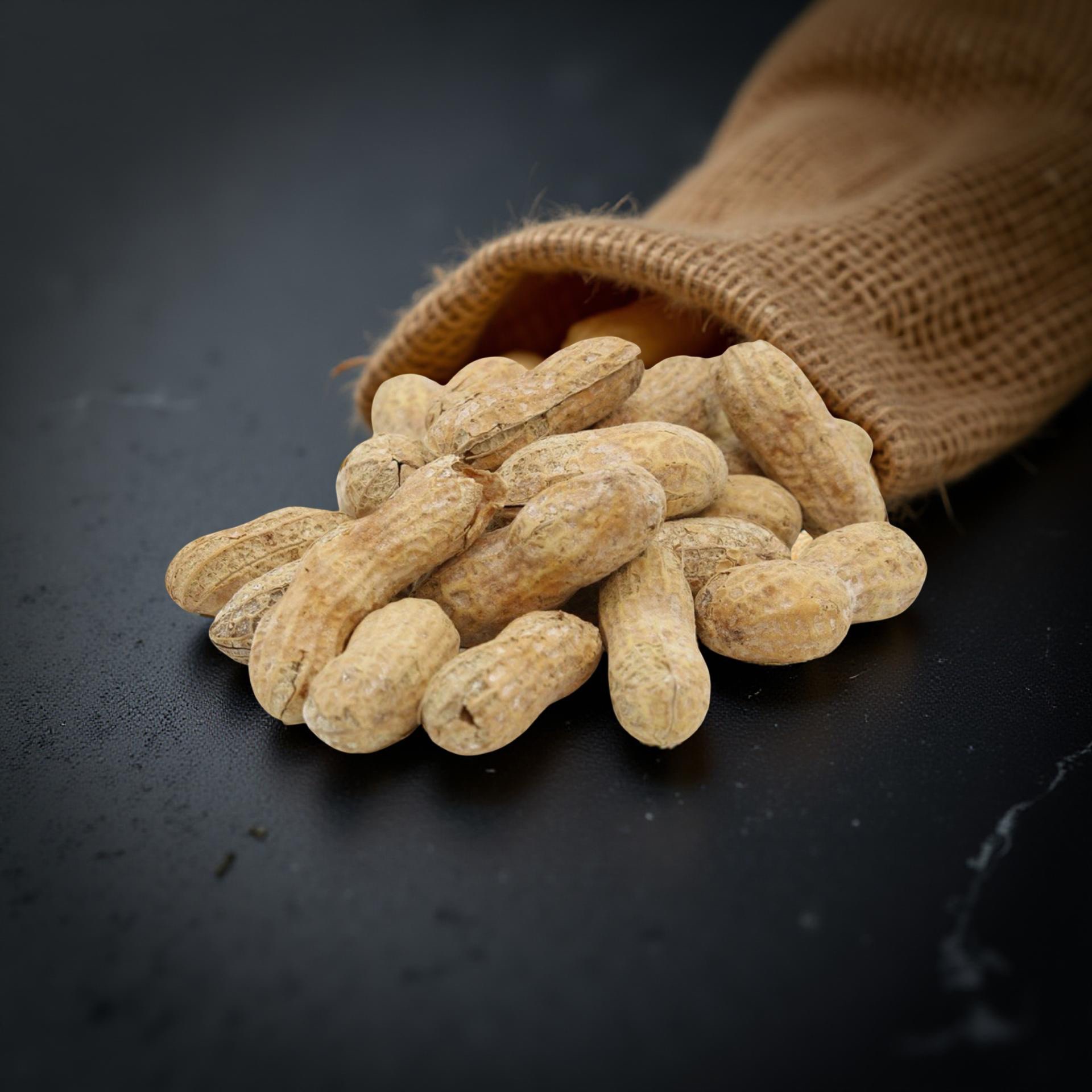 Salted Roasted Peanuts In Shells, Freshly Harvested, 100% US Grown, 1 Lb Tub 3