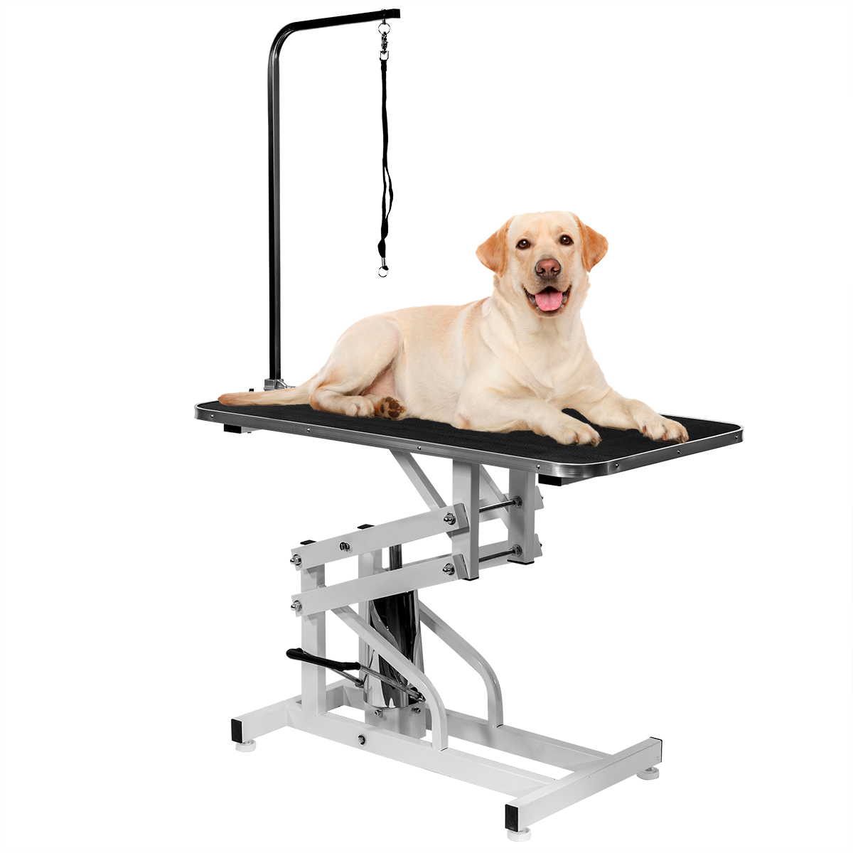 hydraulic dog lift