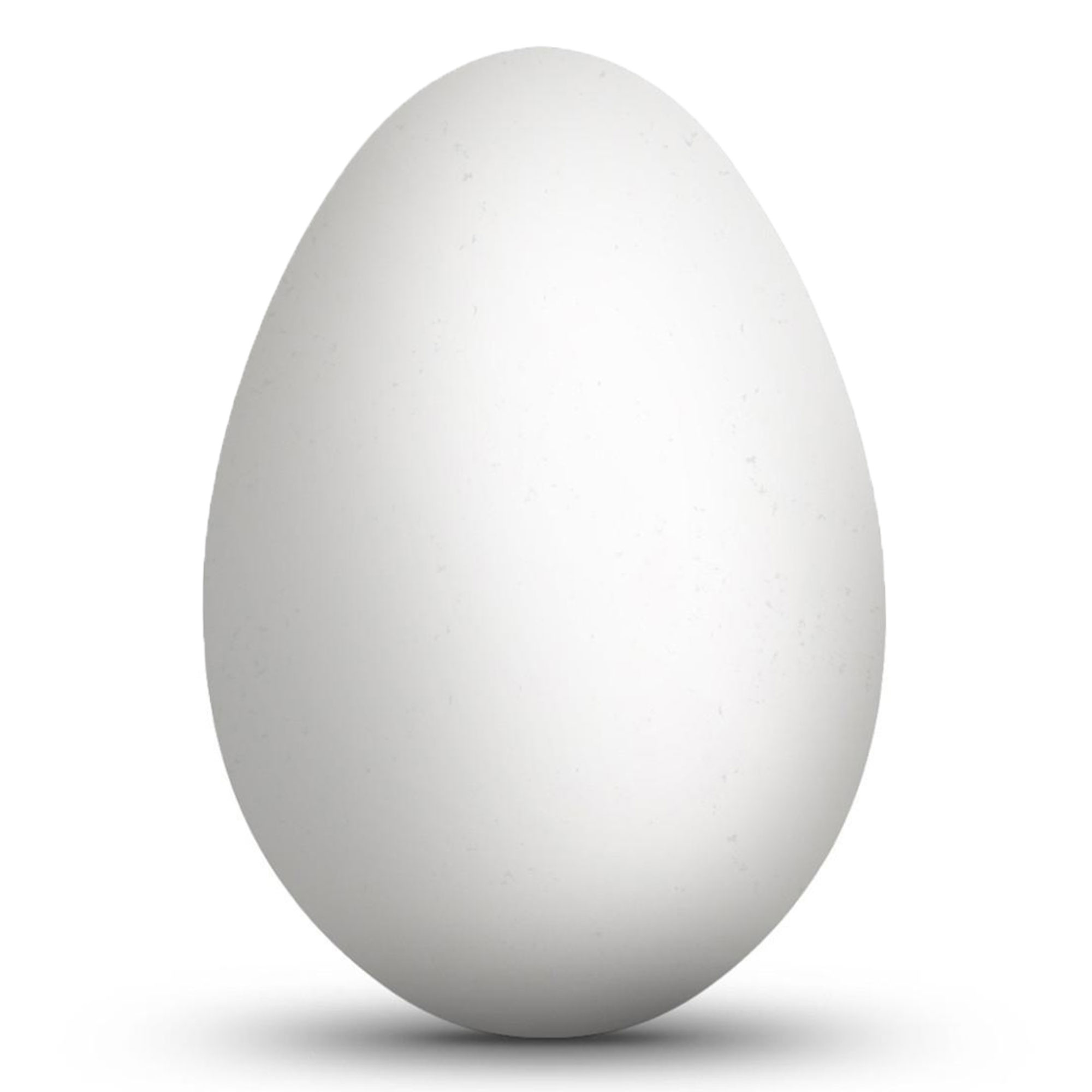 Blown Out Hollow Real Goose Eggshell, Empty Cleaned-Out Egg for Easter Egg Decorating, DIY Crafts, Painting, Pysanky 3.25 Inches Tall