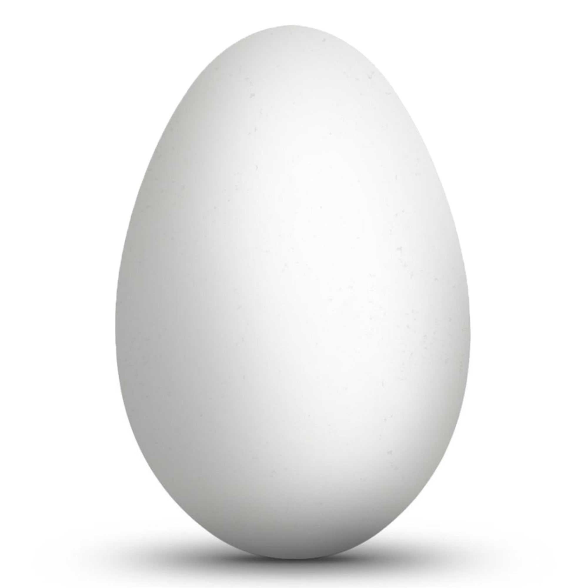 Blown Out Hollow Real Goose Eggshell, Empty Cleaned-Out Egg for Easter Egg Decorating, DIY Crafts, Painting, Pysanky 3.5 Inches Tall