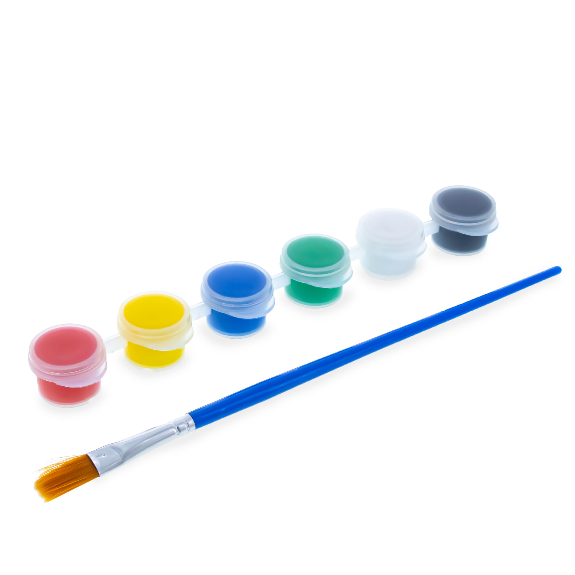 6 Acrylic Paints with Paintbrush