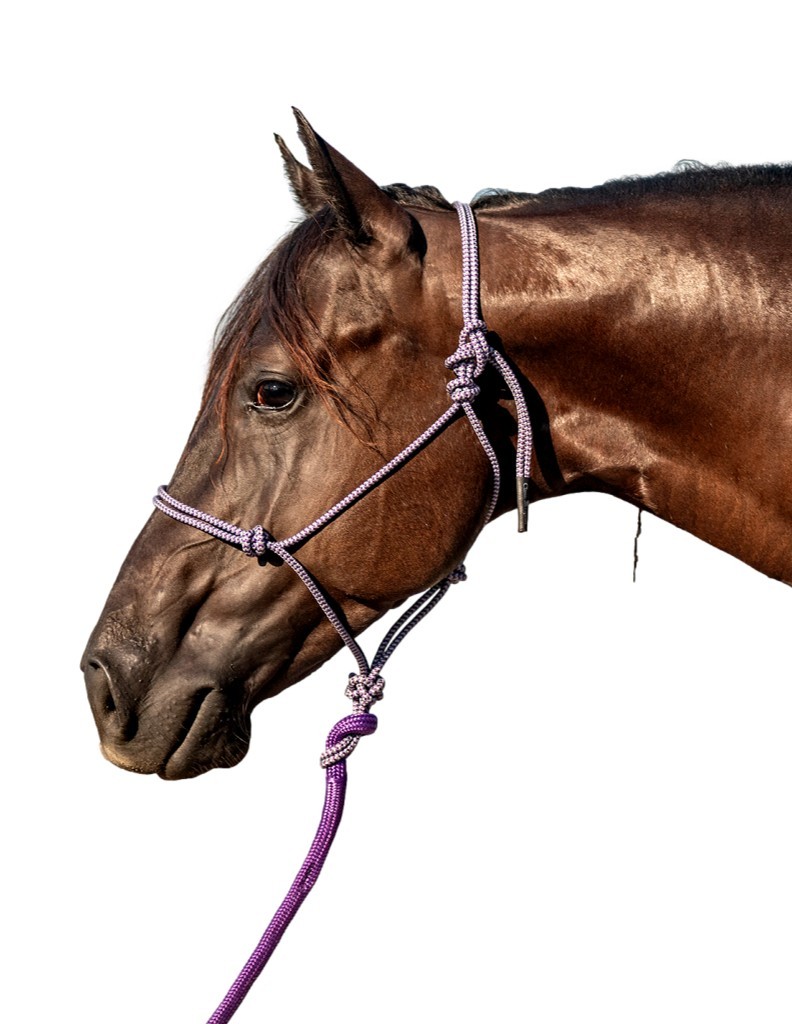 Classic Equine Halter Rope 9 Foot Lead UV Resistant HALTERLEAD9 - Picture 3 of 5