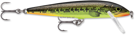 Fire Minnow