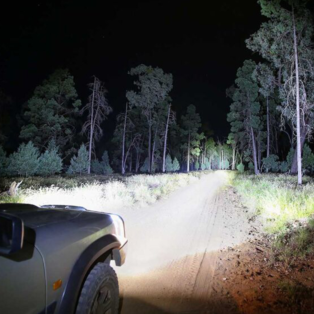 vicoffroad11