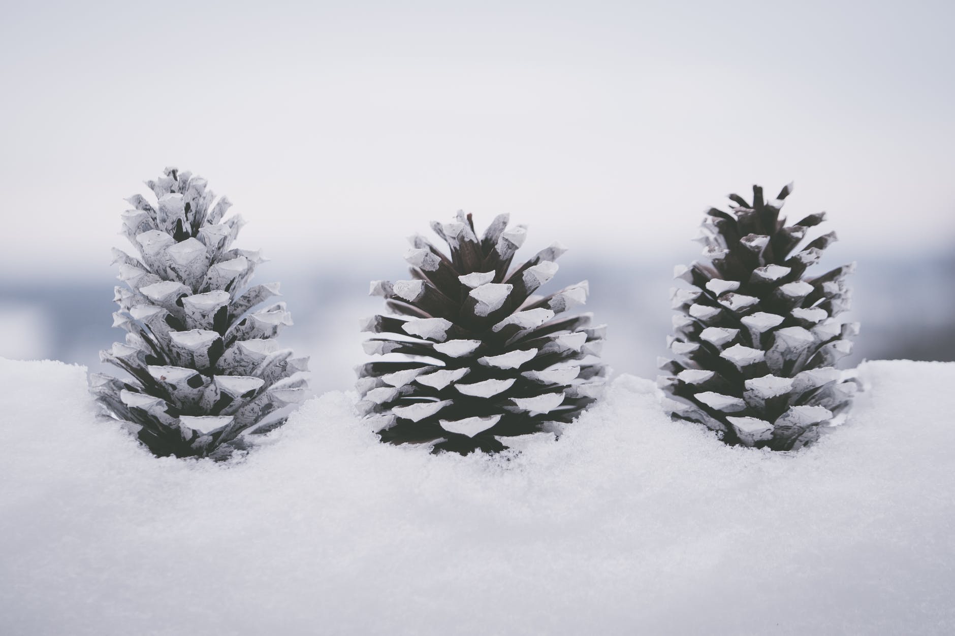 DIY christmas ornaments