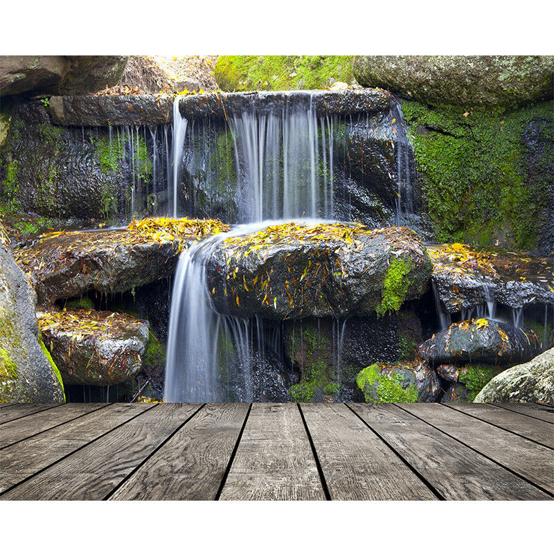 Forest Natural Wood Plank Backdrops Tree Photographic Backgrounds Photo
