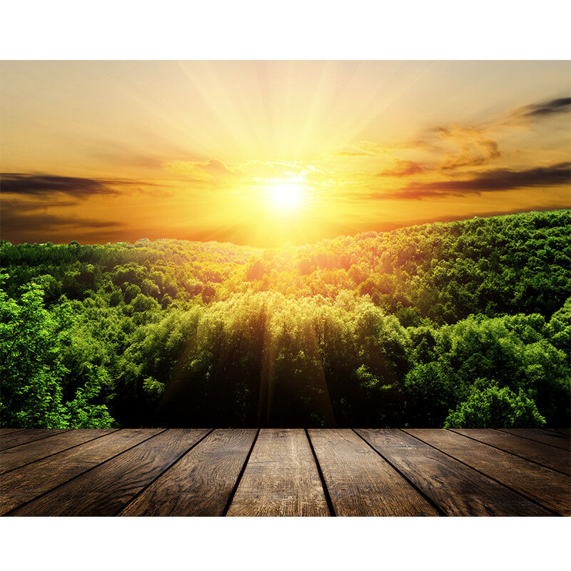 Forest Natural Wood Plank Backdrops Tree Photographic Backgrounds Photo