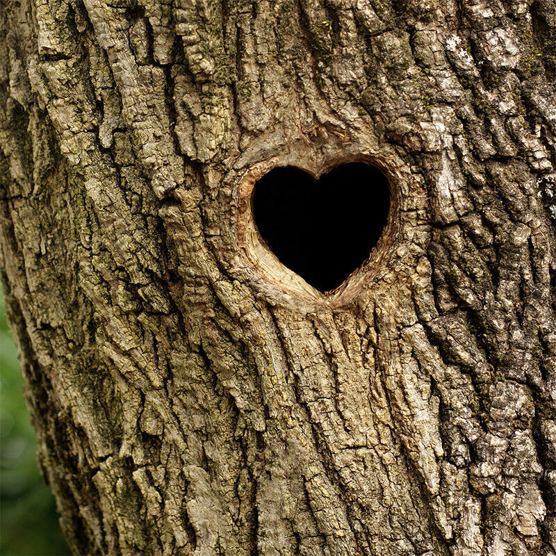 Creative Heart-shaped Photo Background Photography Backdrops Props EAMFA2 MCFA2