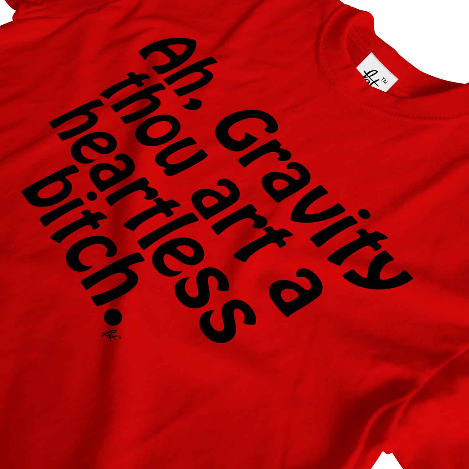 T-shirt uomo Ah, Gravity Thou Art A Heartless Bitch Big Bang - Foto 23 di 35