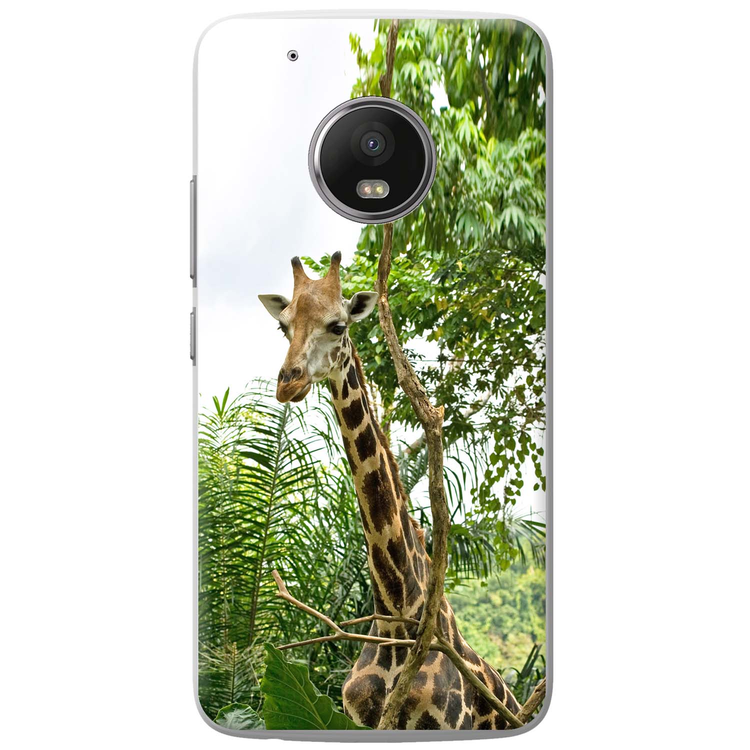 African Giraffe Snapon Hard Back Case Phone Cover for Motorola Mobile
