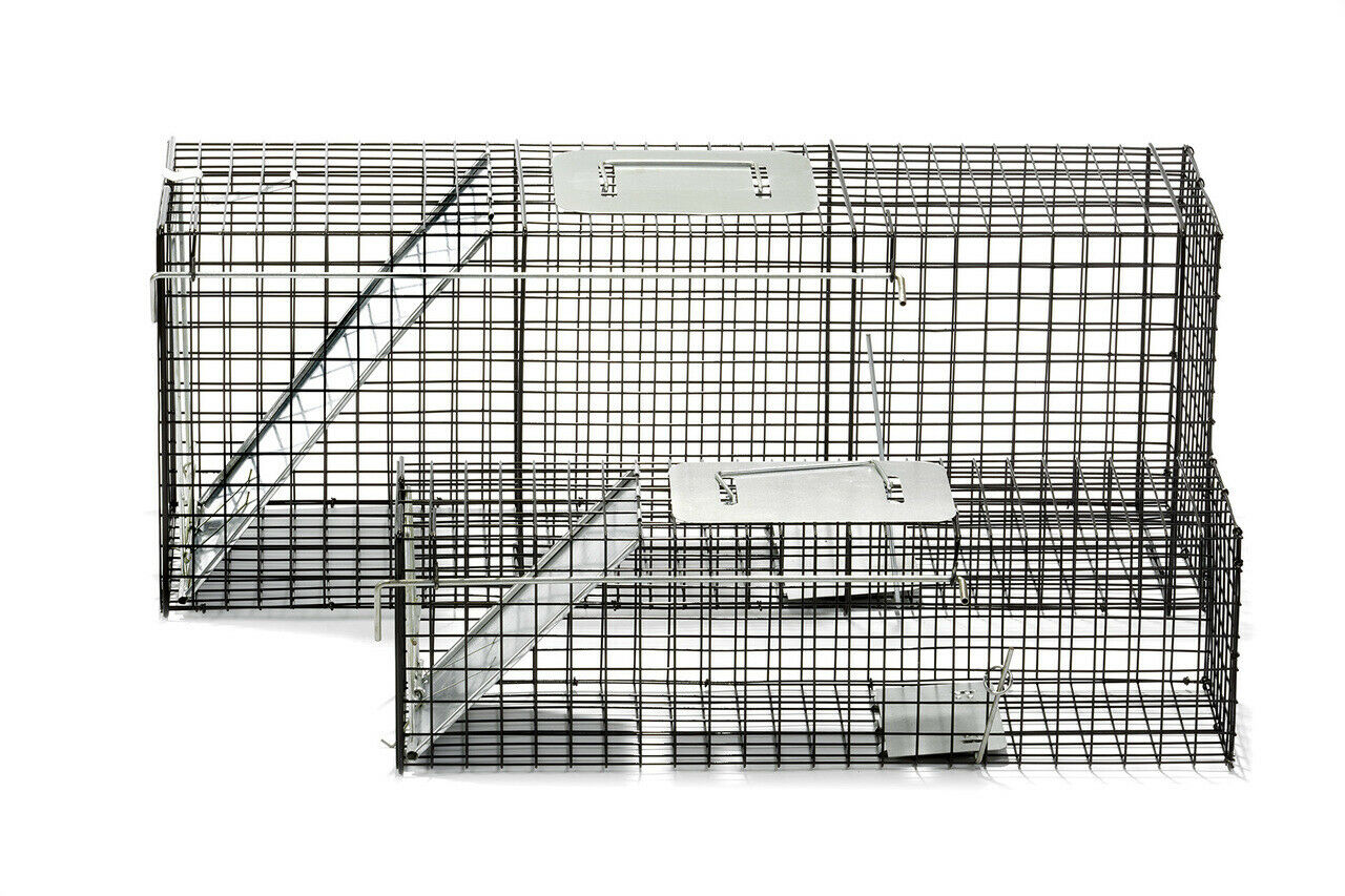 Little Giant ELT42 Large & Small Live Trap Combo Set eBay