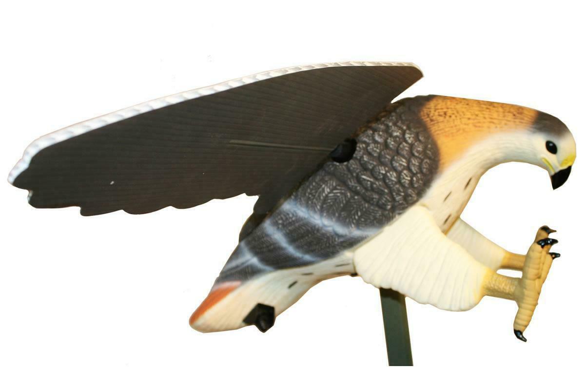 MOJO Outdoors HW4310 Hawk Predator Hunting Decoy 816740043104 eBay