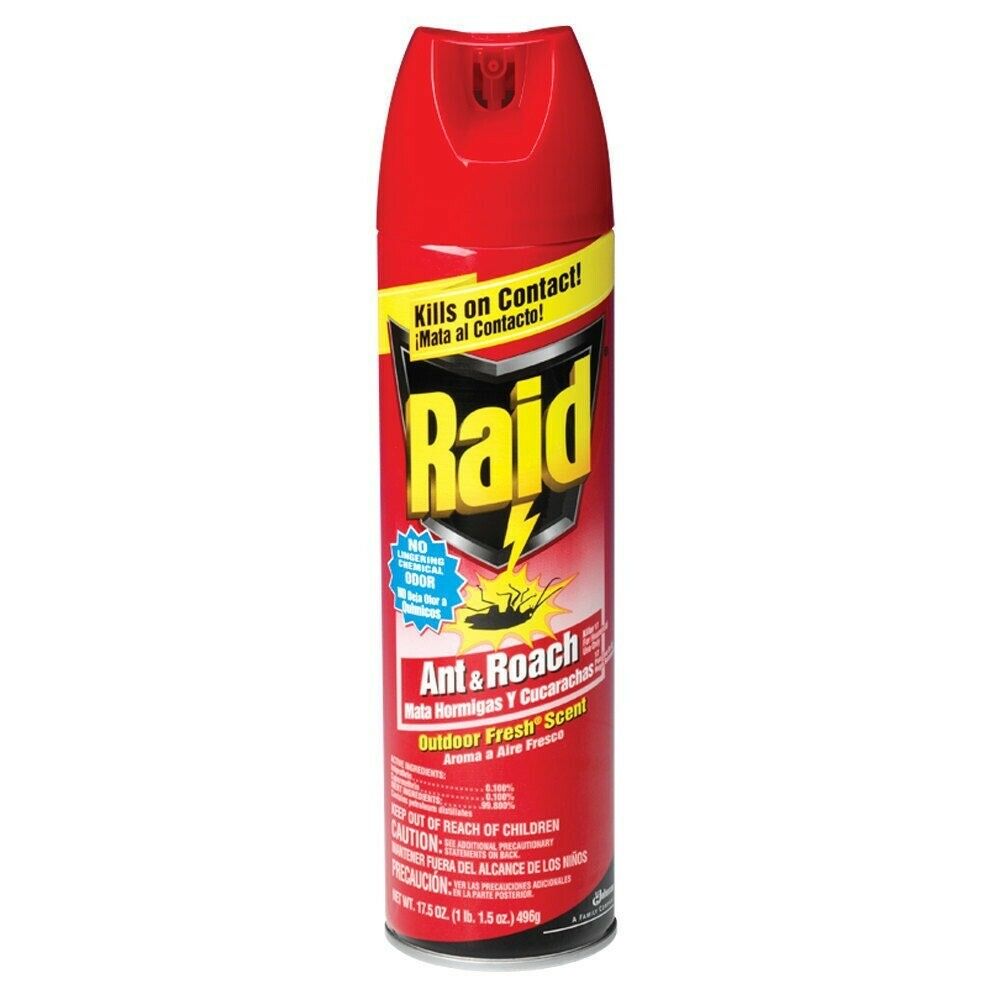 Raid 11717 17 5 OZ Aerosol Ant Roach Killer EBay