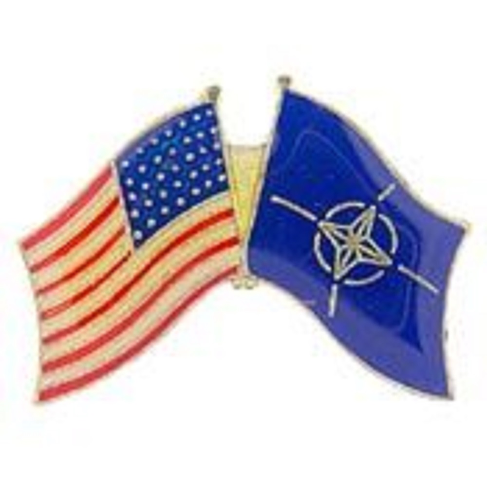 Banderas cruzadas internacionales de Estados Unidos - Obra de arte original, PIN diseñado por expertos - 1,125" - Imagen 22 de 46