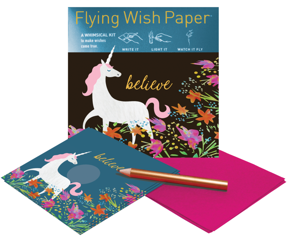 Essay potna i wish i could fly 02 picture