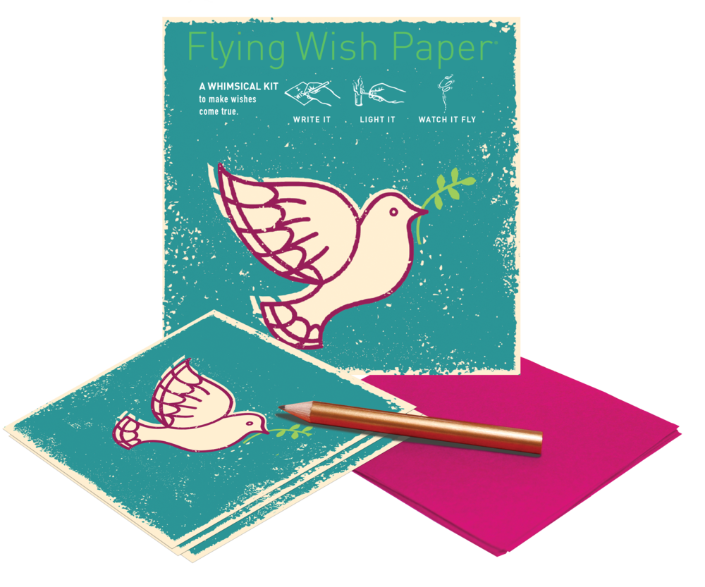 Essay potna i wish i could fly 05 picture