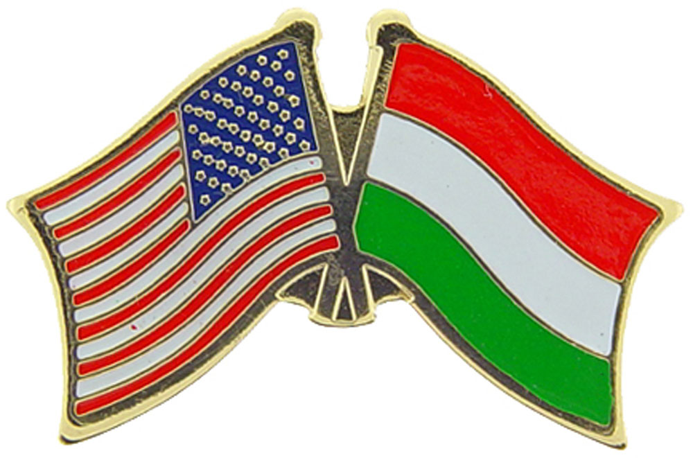 Banderas cruzadas internacionales de Estados Unidos - Obra de arte original, PIN diseñado por expertos - 1,125" - Imagen 13 de 46
