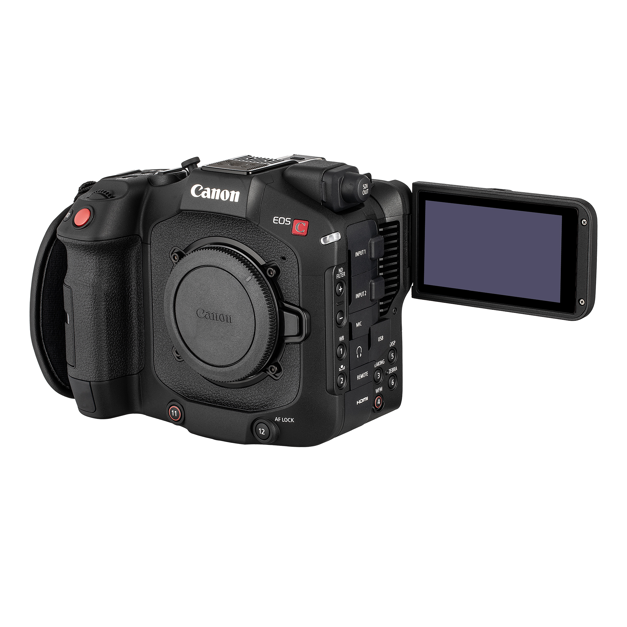 Canon EOS C80 6K Full-Frame Cinema Camera (Canon RF) | eBay