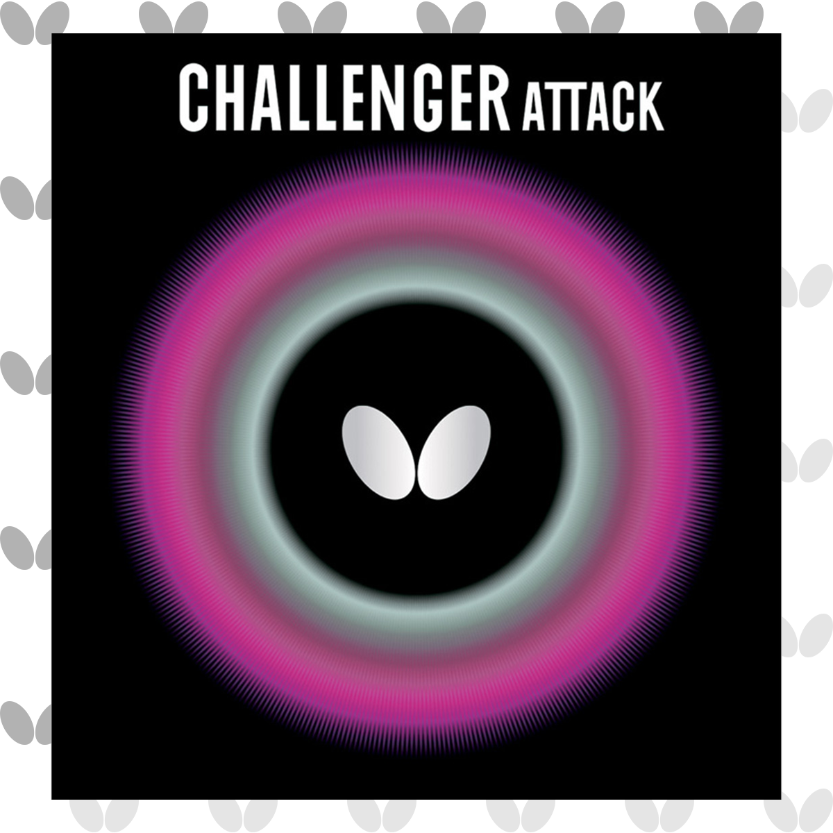 Challenger Attack