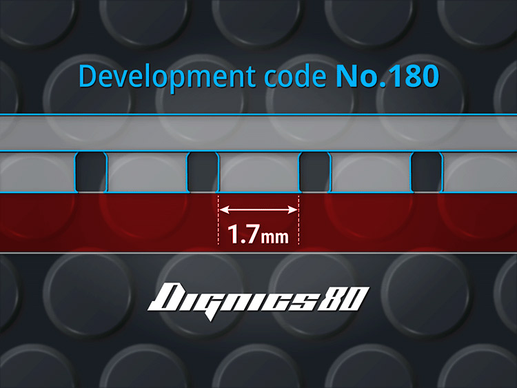 Dignics 80