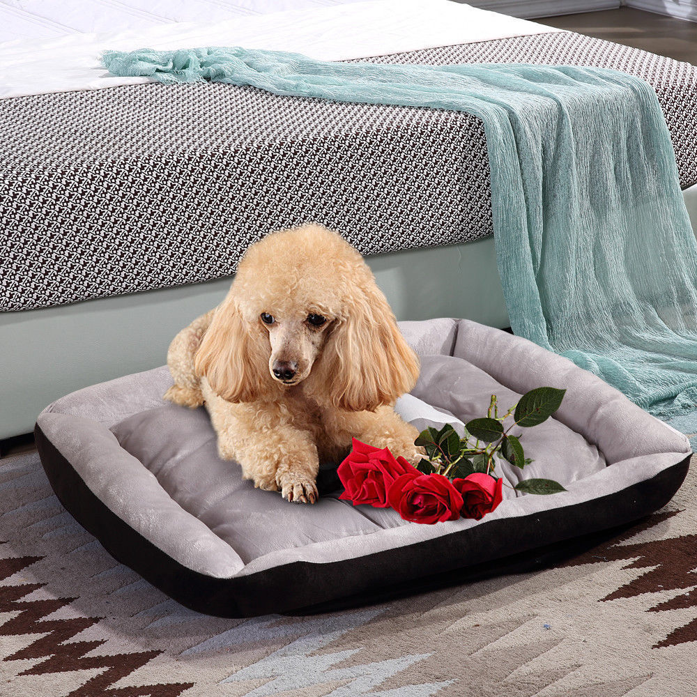 Pawz Dog Bed Pet Cat Calming Floor Mat Sleeping Comfy Cave Washable Extra Large - Picture 30 of 30