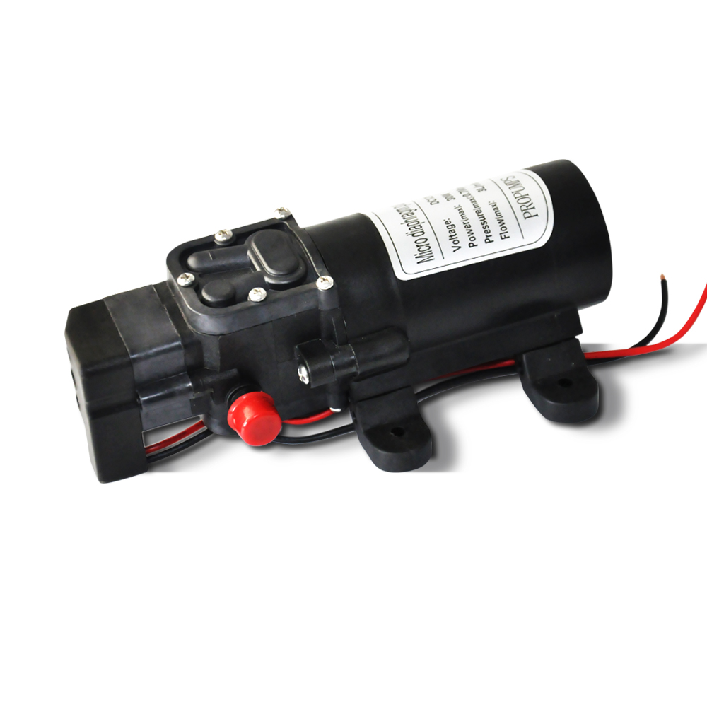 12V 4/6/8/20 Lpm SelfPriming Water Pump High Pressure Caravan Camping