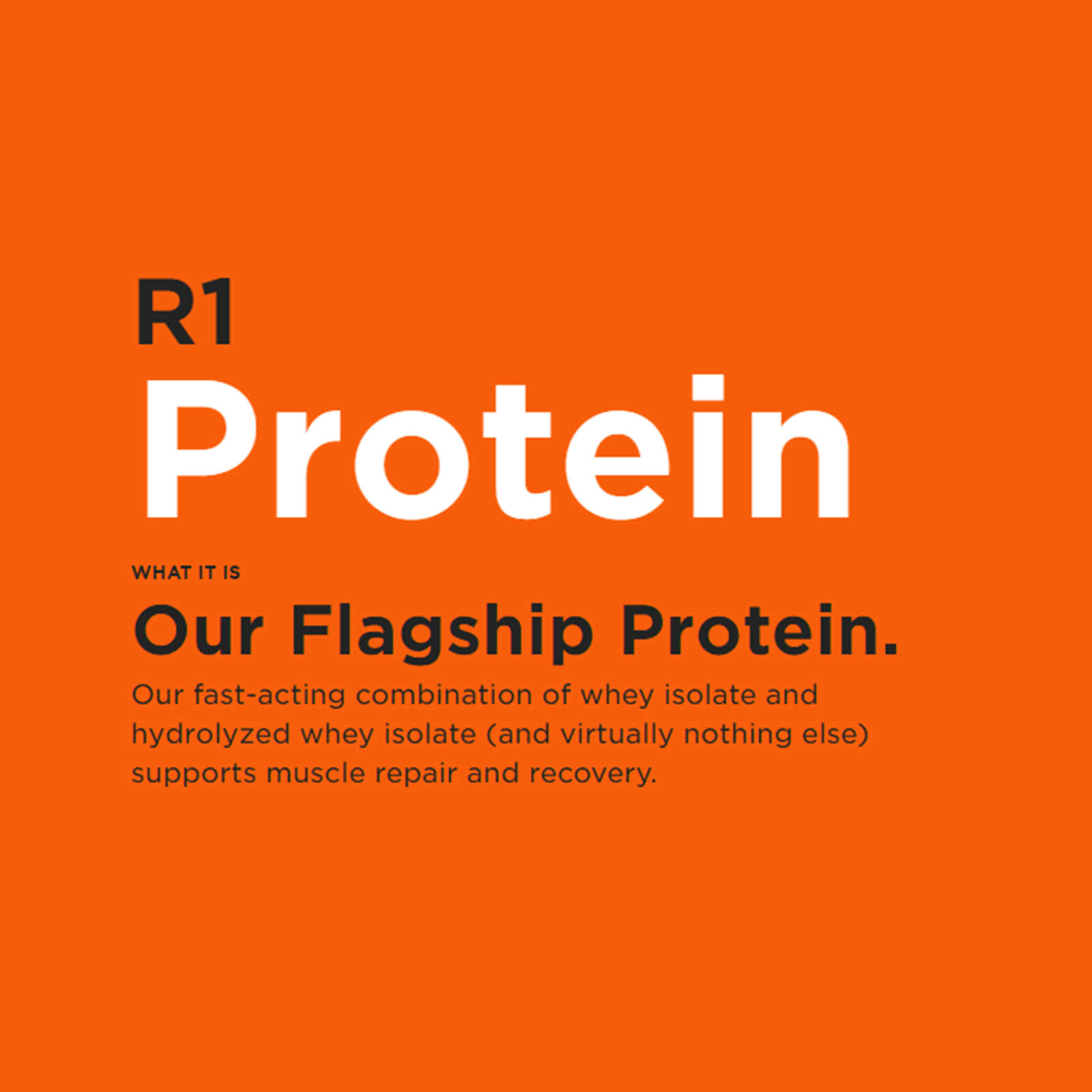 REGLA 1 Proteína 16 porciones Chocolate Fudge Whey Protein Aislado Hidrolizado 1,07 lb - Imagen 4 de 6