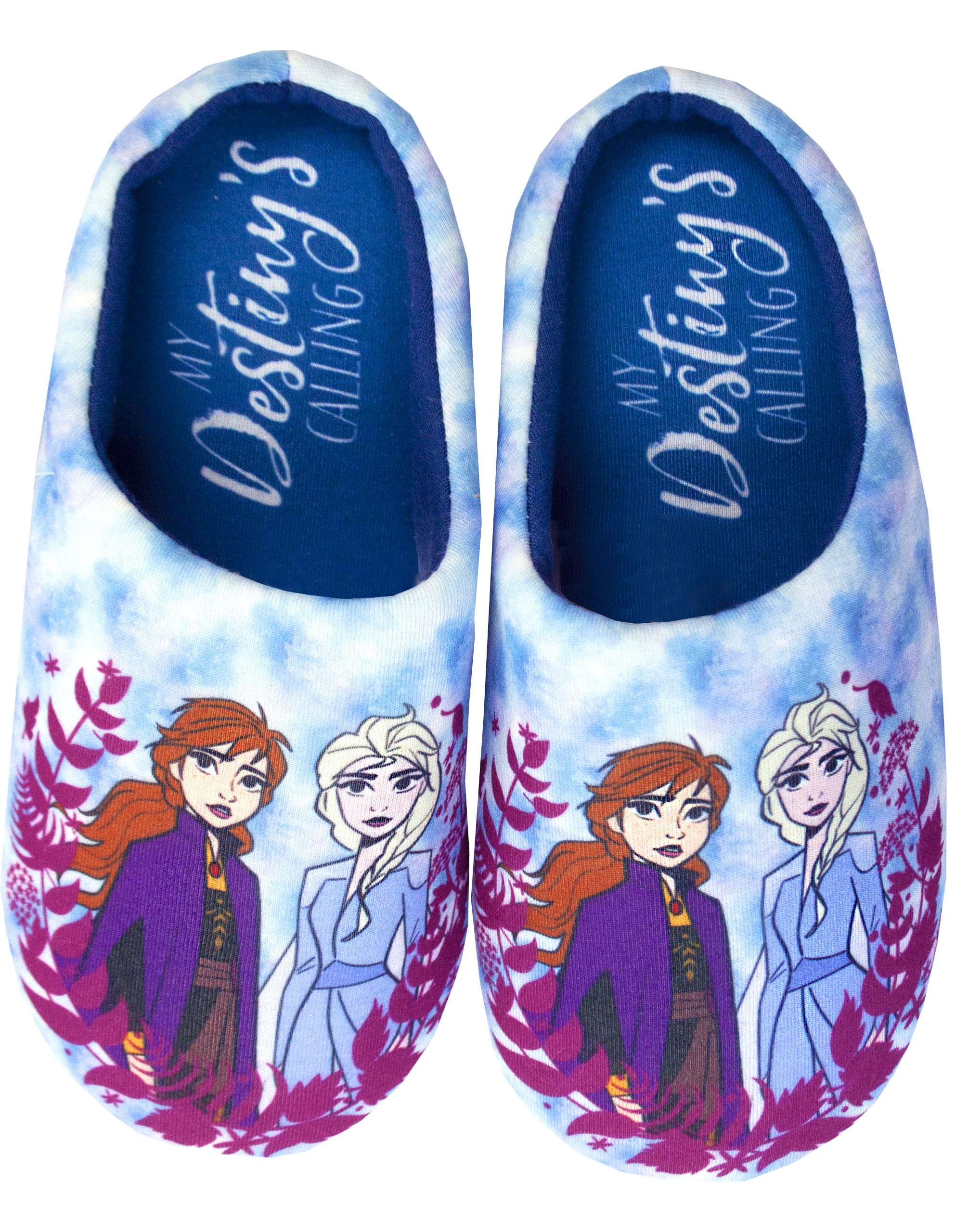 frozen slippers