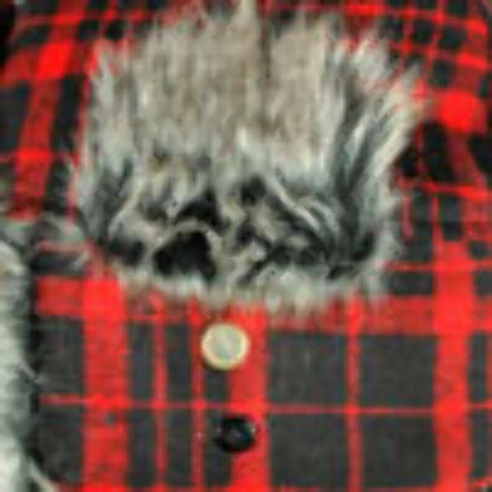 ZANheadgear Coldweather Trooper Hat Accessories