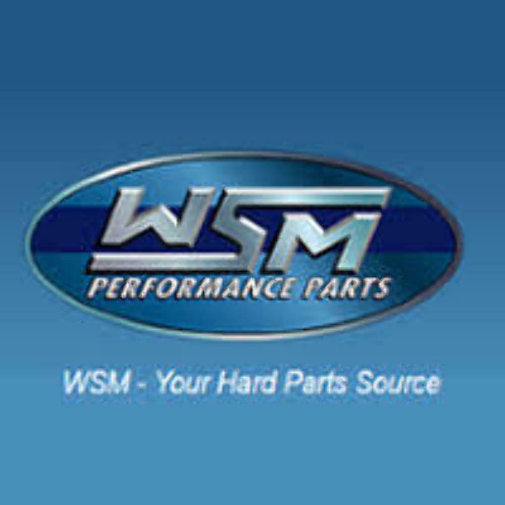 NEEDLE BEARING WSM 78-12800