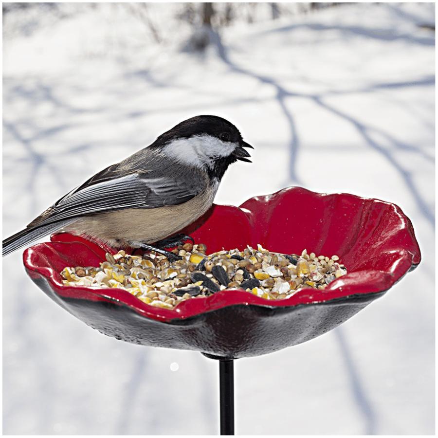 Poppy Bird Feeder, with Ground Stake eBay