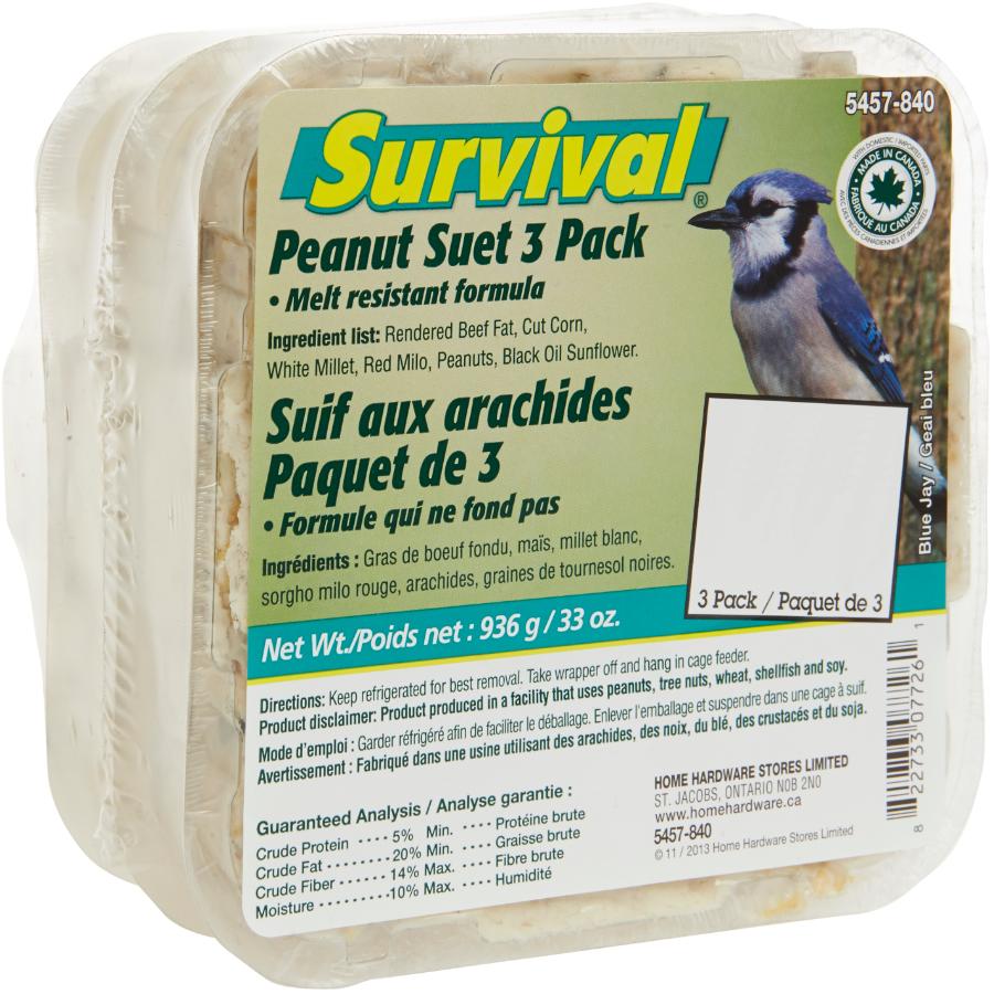 3 Pack x 312g Peanut Suet Cakes Bird Food eBay