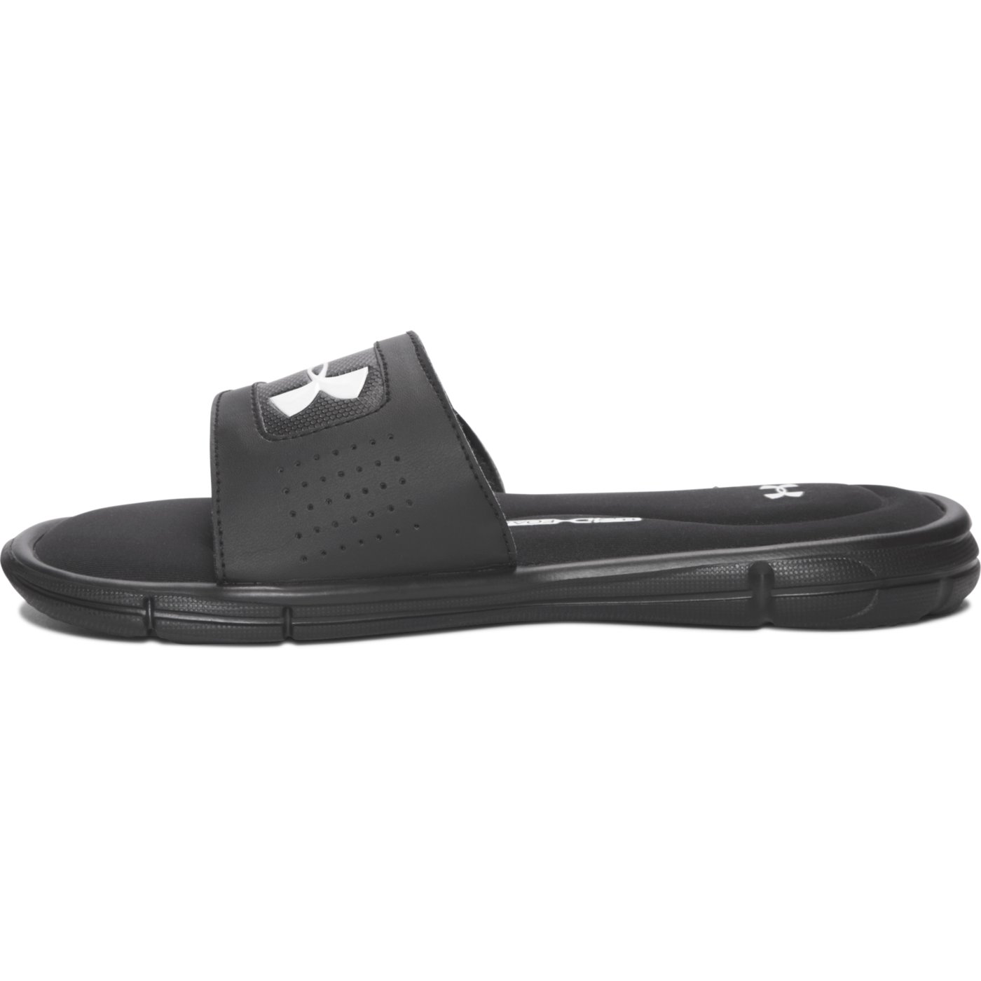 ignite v slides