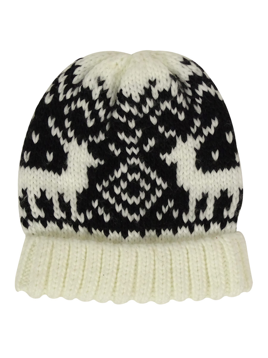 bass beanie