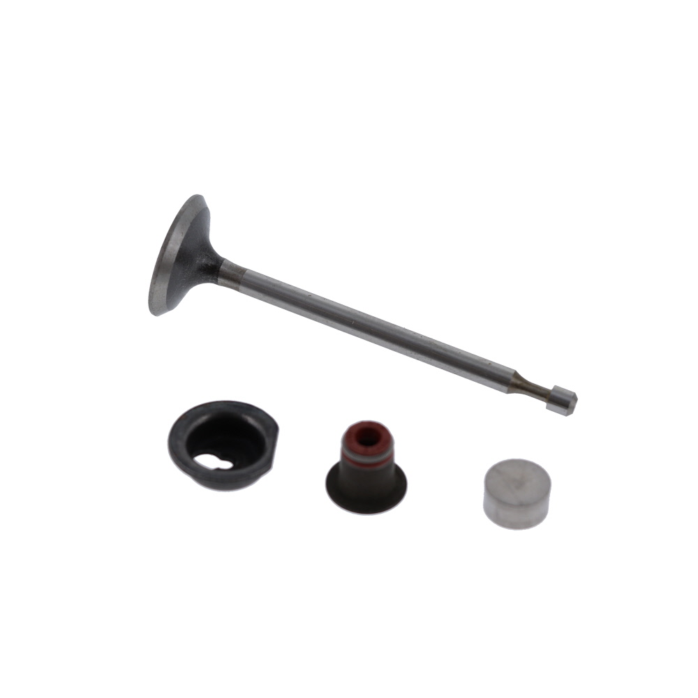 Briggs & Stratton OEM 590530 replacement valveintake 24847190069 eBay