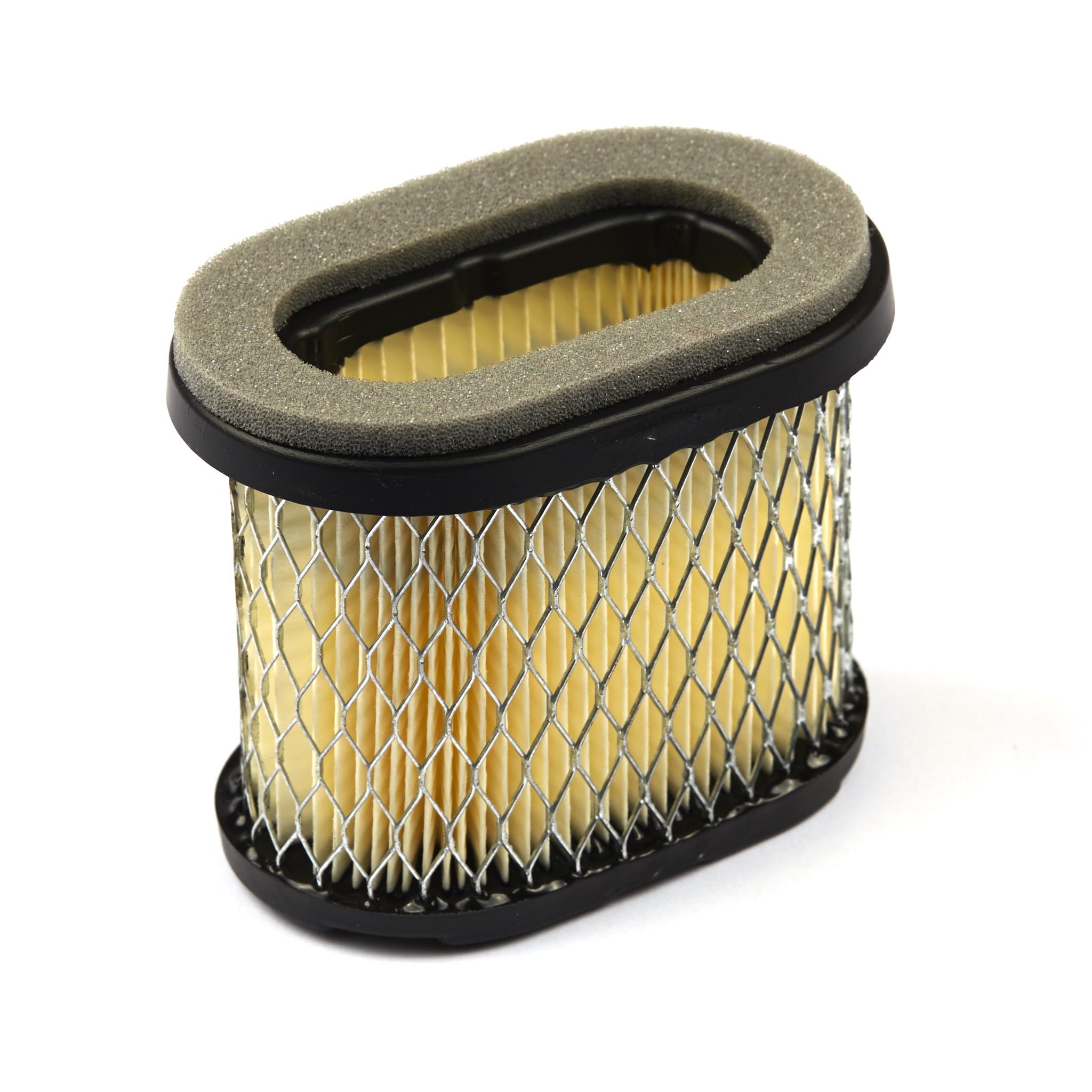 Briggs & Stratton OEM 697029 (2 Pack) replacement filter-a/c cartridge