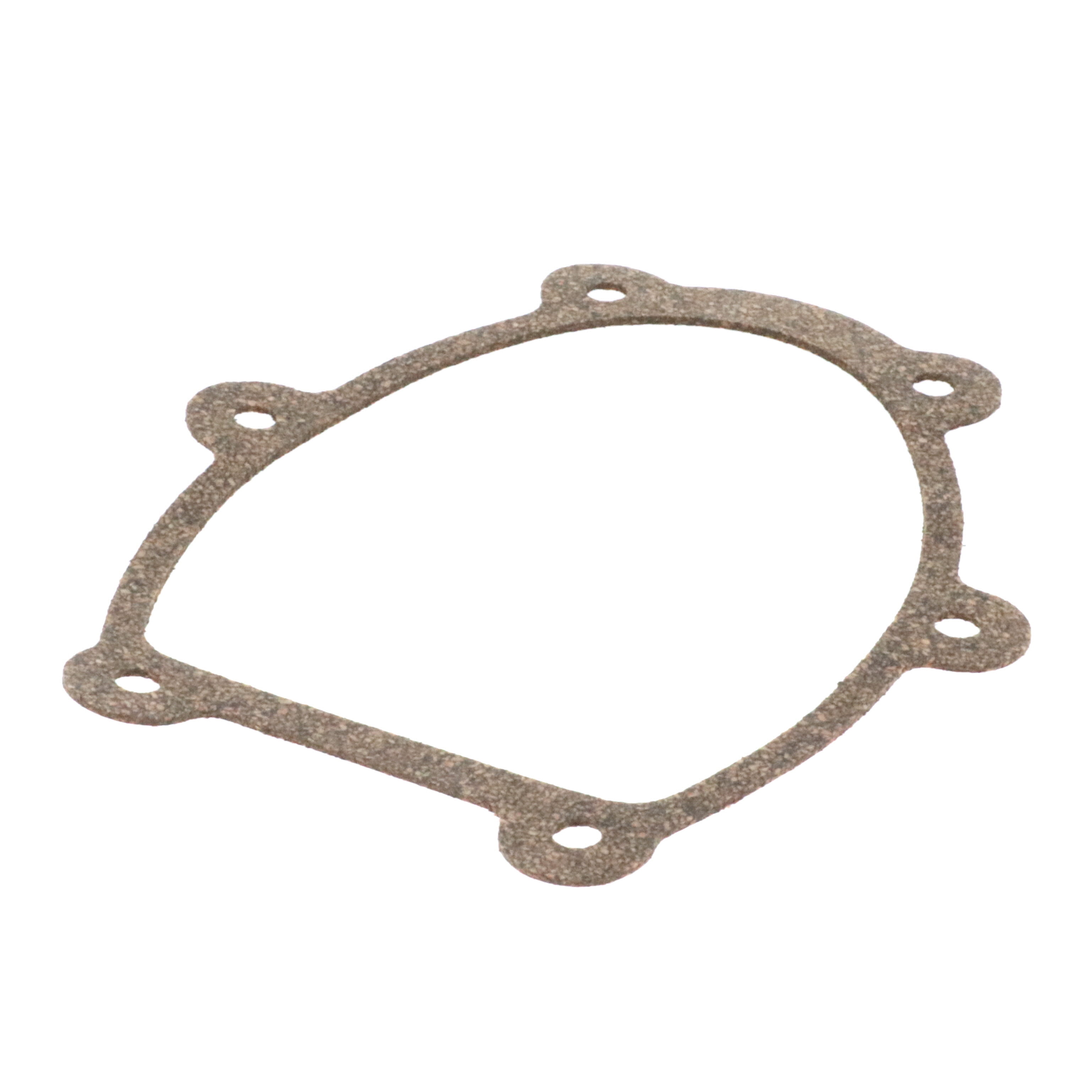 Guarnizione Coperchio Carter Homelite OEM 901550003 – Per Soffiatori RY09056, RY26BVLG, RY39506 - Foto 1