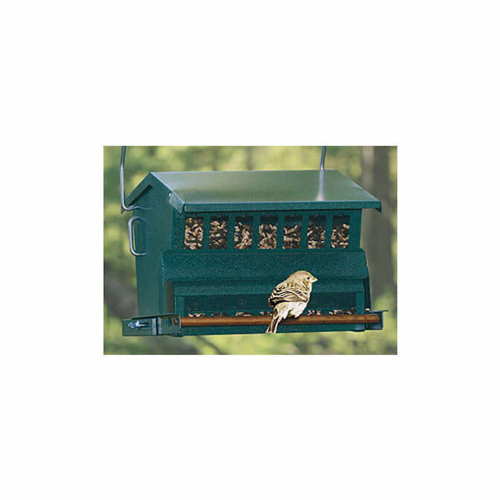 Gc Audubon Squirrel Proof Bird Feeder 47977001005 Ebay