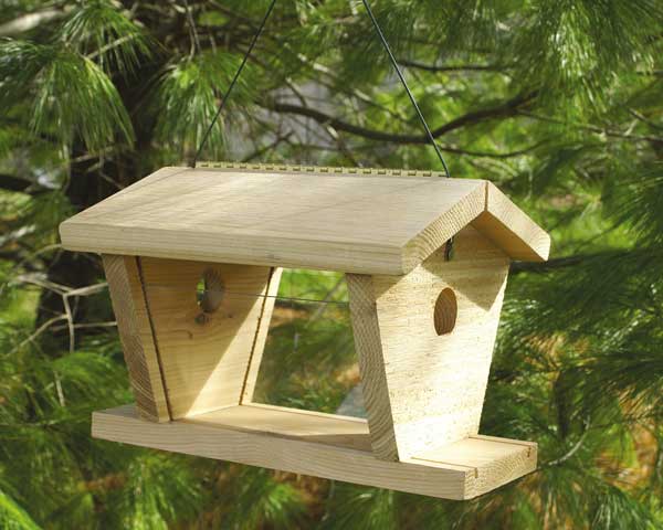 Gc Songbird Essentials Bluebird Meal Worm Feeder 645194103900
