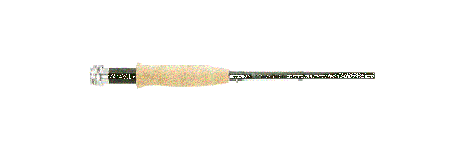 echo dry fly rod