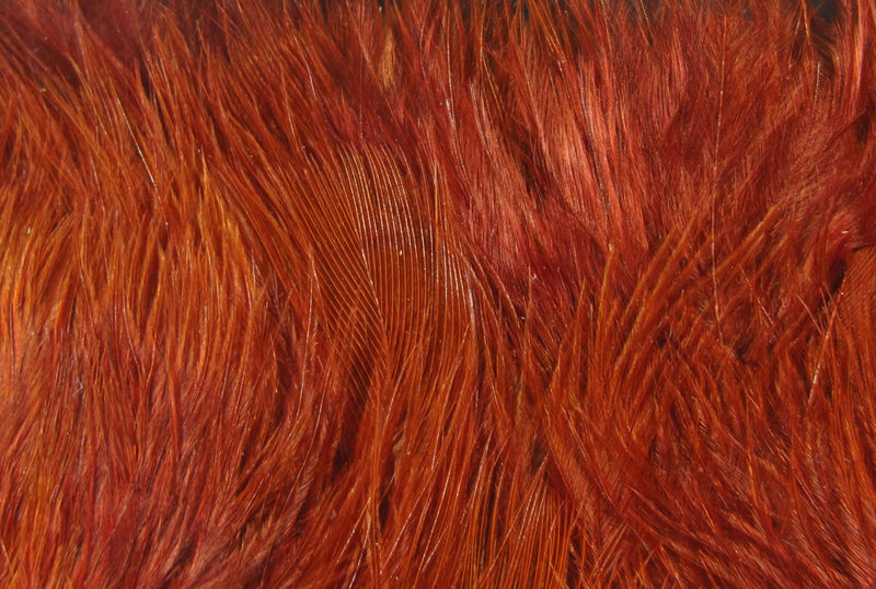 Hareline Wooly Bugger Marabou - Picture 17 of 24