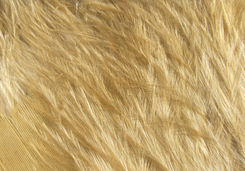 Hareline Wooly Bugger Marabou - Picture 21 of 24