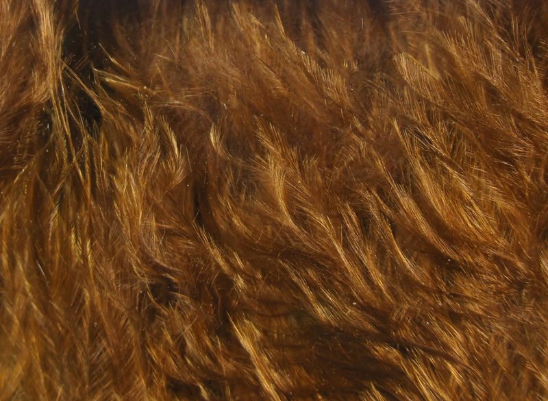 Picture 4 of 24