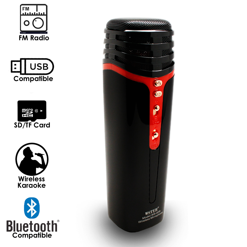 2 in 1 microphone and speaker