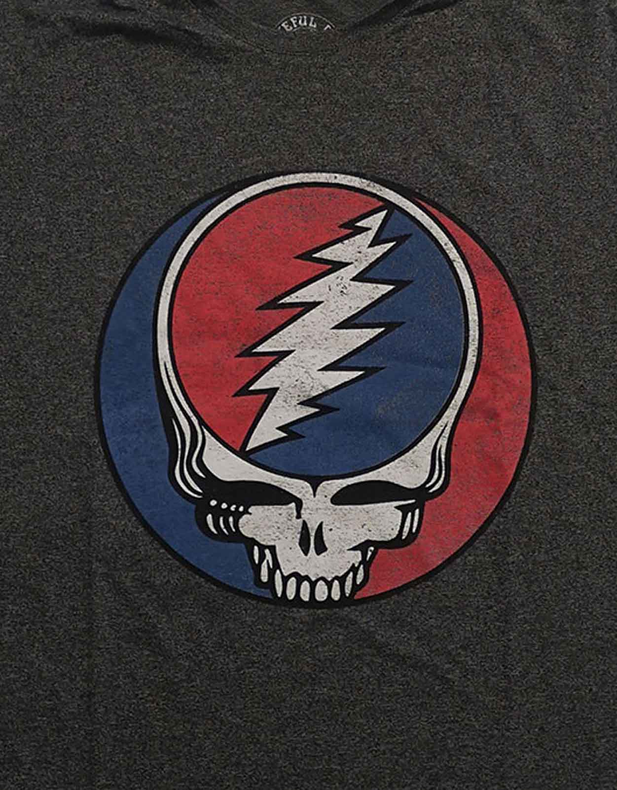 Camiseta Oficial Grateful Dead Space Your Face Logo Bertha De Colección Nueva Unisex - Imagen 65 de 71
