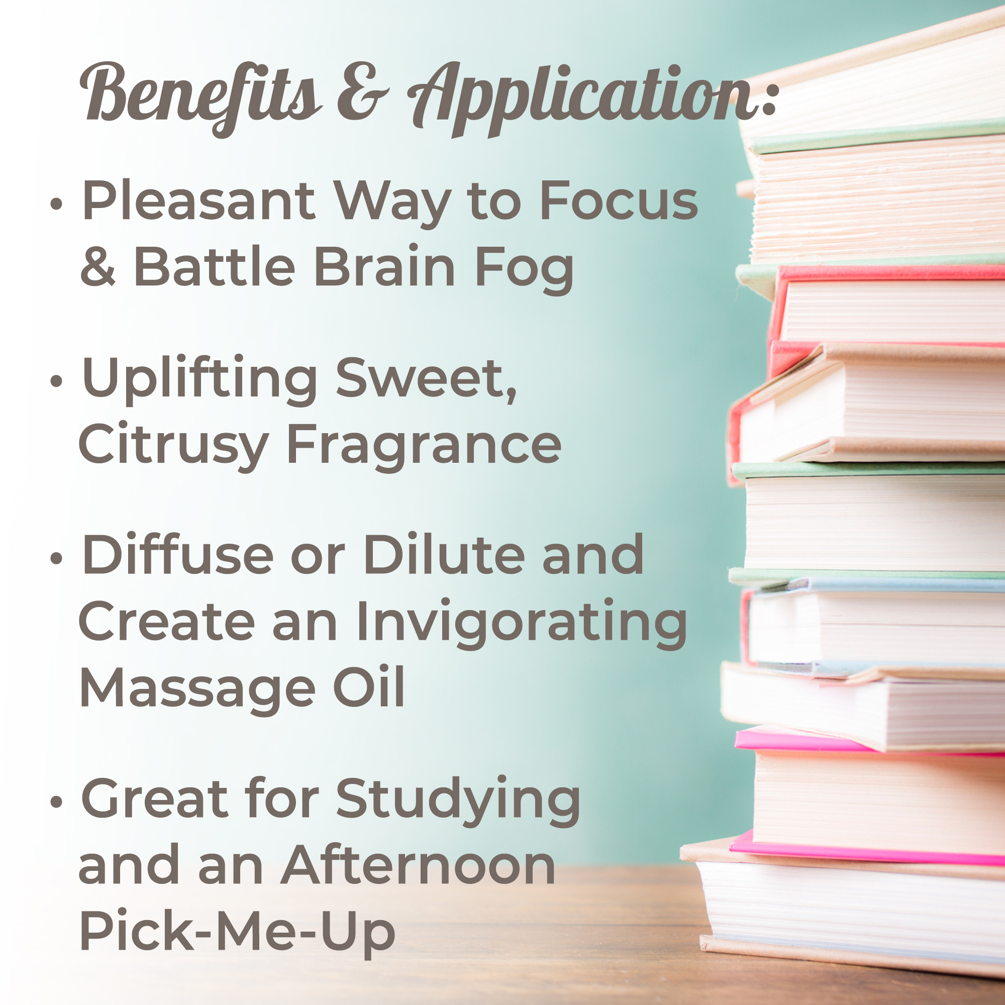 Plant Therapy Essential Oil Brain Aid Synergy Focus Blend 100