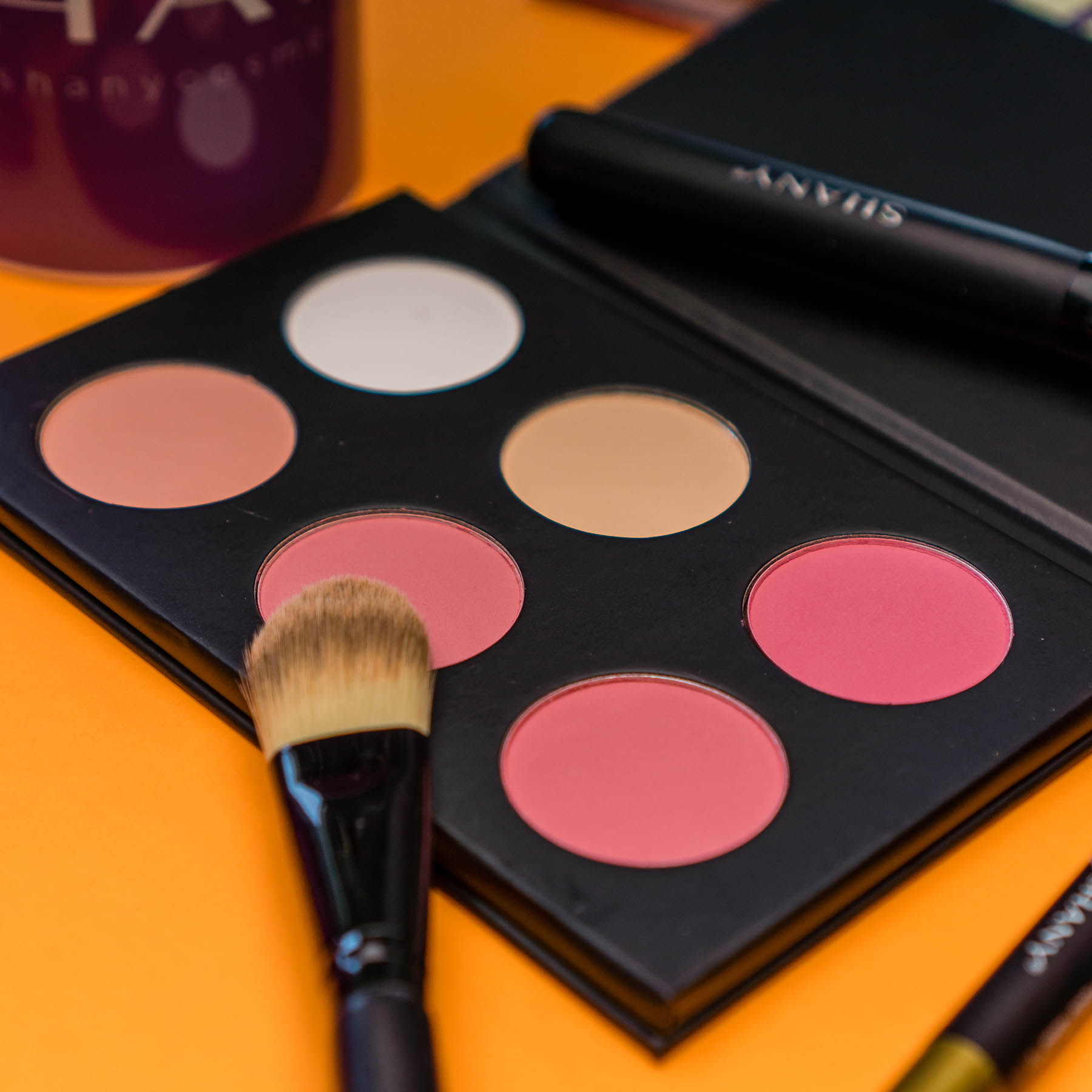 SHANY Mini Masterpiece Makeup Set - 6 Layer Refills | eBay